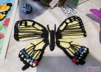 Gierlachów. Polskie motyle oczami dzieci i młodzieży