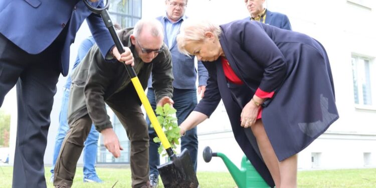 Mielec: Dąb dla uczczenia Dnia Samorządu Terytorialnego
