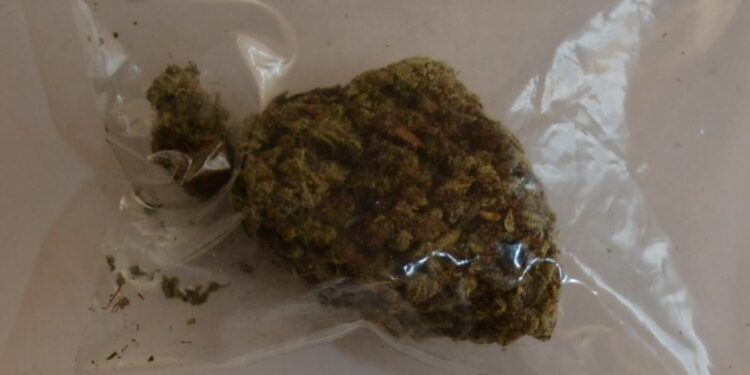 Stalowa Wola: Odpowiedzą za posiadanie narkotyków