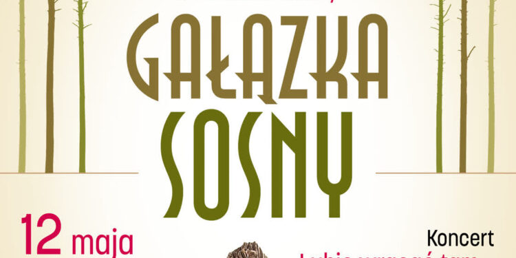 W Stalowej Woli poznamy zdobywców Gałązki Sosny