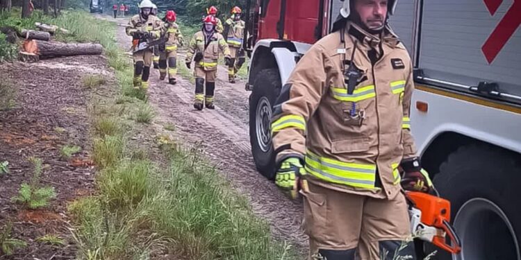 Mielec: PSP w statystykach  2024 roku