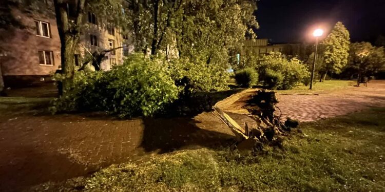 Region: Nawałnice nad Polską – poważne szkody i brak prądu