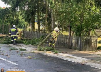 Tarnobrzeg, powiat tarnobrzeski: Skutki nocnych burz
