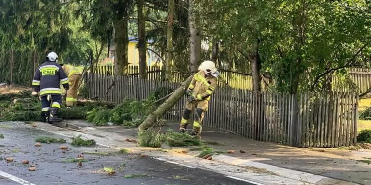 Tarnobrzeg, powiat tarnobrzeski: Skutki nocnych burz