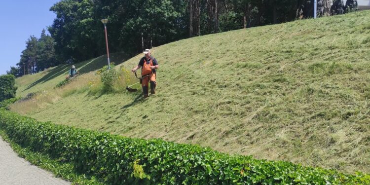 Mielec: Kosić czy nie kosić trawników w miastach ?