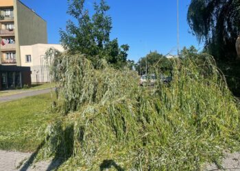 Tarnobrzeg: Skutki nocnej burzy