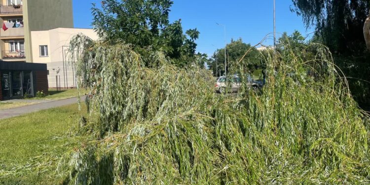 Tarnobrzeg: Skutki nocnej burzy