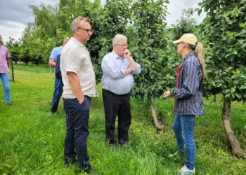 Sandomierz: Wizyta ministra rolnictwa u poszkodowanych sadowników