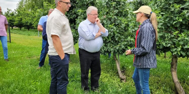 Sandomierz: Wizyta ministra rolnictwa u poszkodowanych sadowników