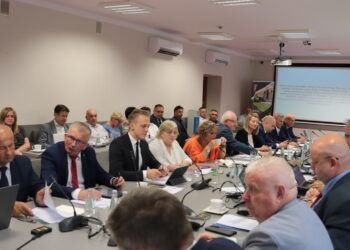 Mielec: Z apelem do polskiego rządu…