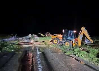 Region: Nocne burze i gradobicia. Poważne straty dla rolników