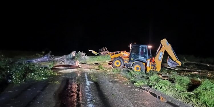 Region: Nocne burze i gradobicia. Poważne straty dla rolników