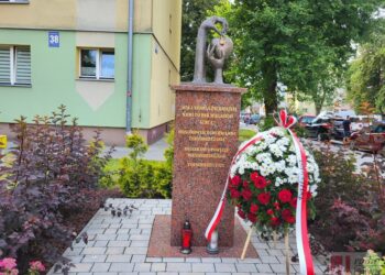 Tarnobrzeg: Uczczą Światowy Dzień Krwiodawcy. Jubileusz 90-lecia krwiodawstwa w Polsce