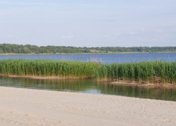 Tarnobrzeg: Wakacyjny hit w regionie – czysta woda, plaże i bezpieczeństwo
