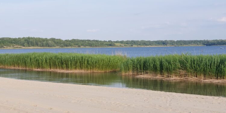 Tarnobrzeg: Wakacyjny hit w regionie – czysta woda, plaże i bezpieczeństwo