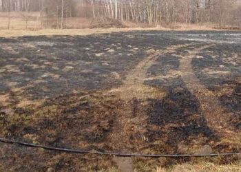 Nisko: Odpowiedzą za podpalenie traw