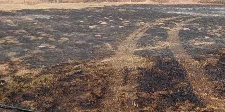 Nisko: Odpowiedzą za podpalenie traw