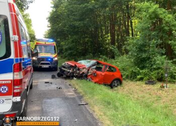 Skopanie/Dymitrów: Wypadek drogowy na trasie Tarnobrzeg – Mielec