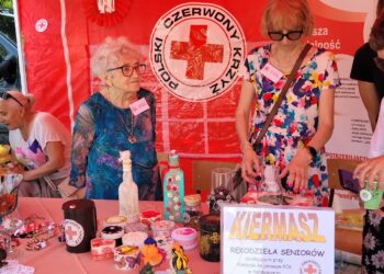 Sandomierz: X Festiwal Organizacji Pożytku Publicznego