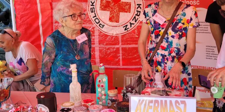 Sandomierz: X Festiwal Organizacji Pożytku Publicznego (FOTO)