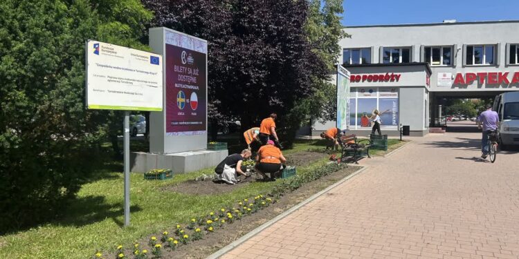 Tarnobrzeg: Kwiaty w mieście