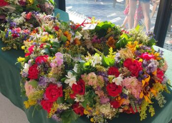 Zawichost: Zawichojska Noc Tradycji pełna atrakcji