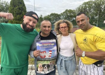 Sandomierz: W sobotę mecz dla bezdomnych psów i kotów