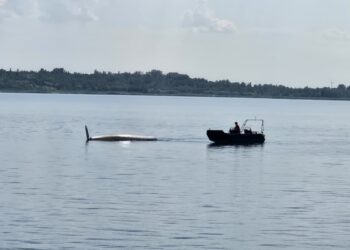 Tarnobrzeg. Wywrócona łódź na Jeziorze Tarnobrzeskim