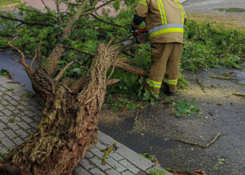 Stalowa Wola: Powalone drzewa, zerwane dachy i zalane drogi po nawałnicy nad powiatem stalowowolskim – usuwanie skutków trwało do późnych godzin nocnych