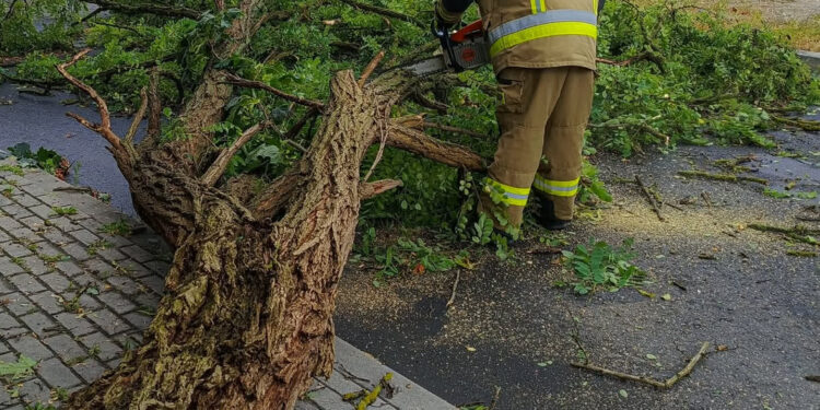 Stalowa Wola: Powalone drzewa, zerwane dachy i zalane drogi po nawałnicy nad powiatem stalowowolskim – usuwanie skutków trwało do późnych godzin nocnych