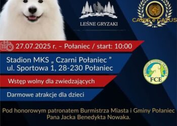 Połaniec: I Międzynarodowa Wystawa Psów Rasowych