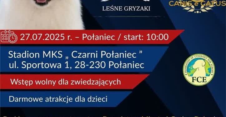 Połaniec: I Międzynarodowa Wystawa Psów Rasowych