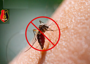 Stalowa Wola; Rusza odkomarzanie miasta