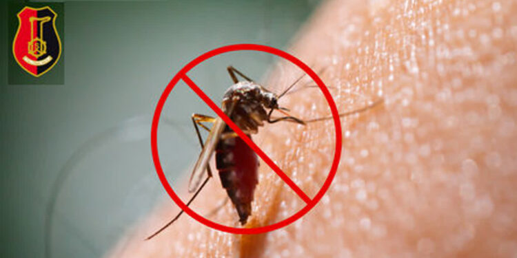 Stalowa Wola; Rusza odkomarzanie miasta