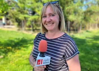 Sandomierz: Aby bezdomne psy miały cień