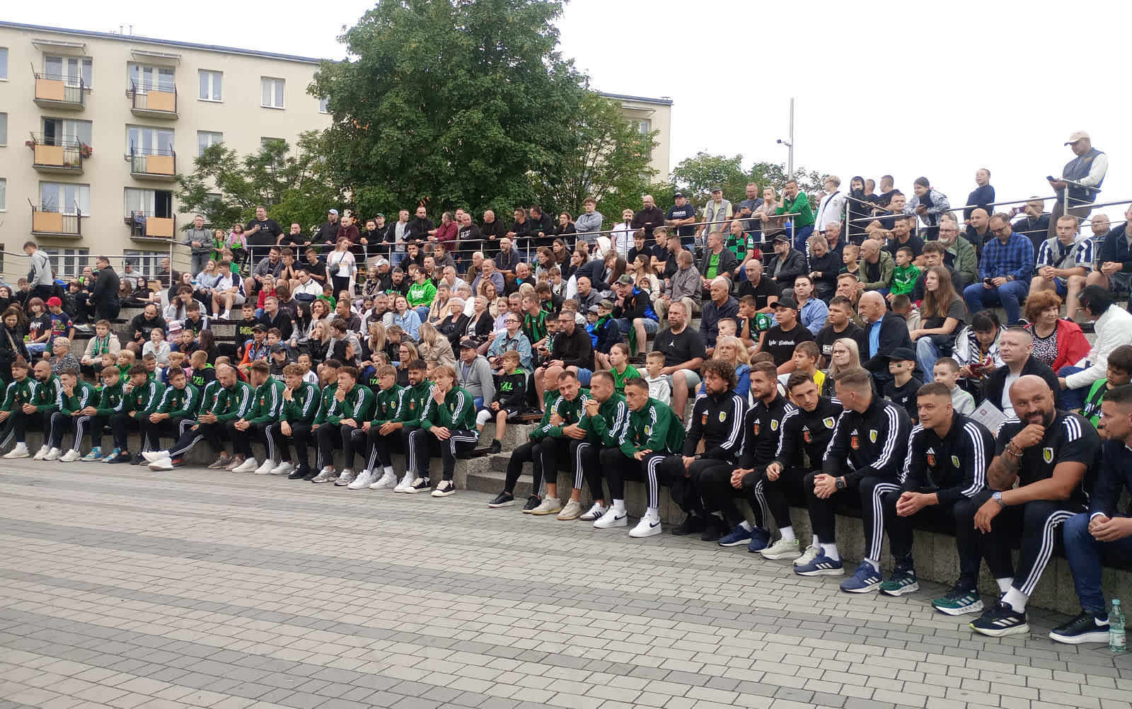 stal-prezentac7.jpg