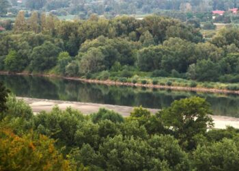 Tarnobrzeg: Trwa susza hydrologiczna – alarmują przyrodnicy z Podkarpacia. „To nie są chwilowe wahania”