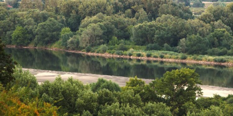 Tarnobrzeg: Trwa susza hydrologiczna – alarmują przyrodnicy z Podkarpacia. „To nie są chwilowe wahania”