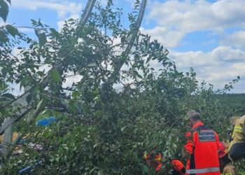 Lenarczyce, Wilczyce, Sandomierz: Porażenie prądem podczas zbioru wiśni