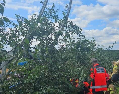 Lenarczyce, Wilczyce, Sandomierz: Porażenie prądem podczas zbioru wiśni
