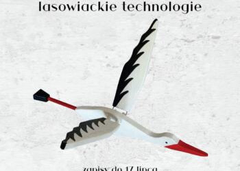 Stalowa Wola: Weź udział w konkursie LEGOLas – stwórz zabawkę z lasowiackim charakterem