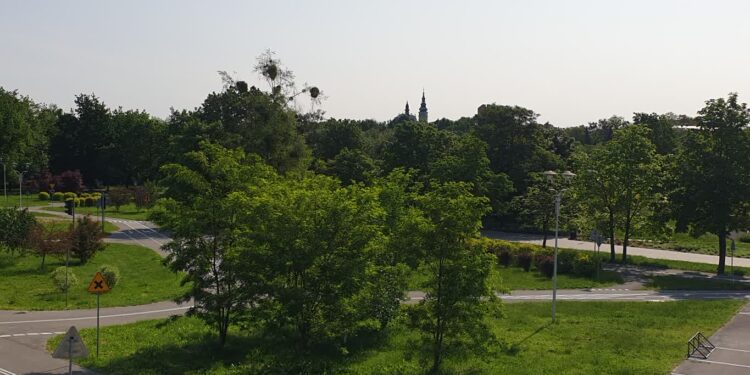 Tarnobrzeg: Rewitalizacja Tarnobrzega. Ruszają spacery z mieszkańcami