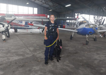 Stalowa Wola: Walkiria w stalowowolskiej policji – czworonożny funkcjonariusz już na służbie