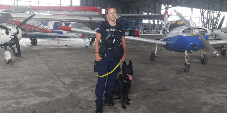 Stalowa Wola: Walkiria w stalowowolskiej policji – czworonożny funkcjonariusz już na służbie