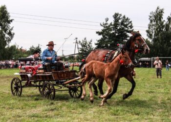 Gorzyce. W niedzielę Zlot Furmanek w Furmanach