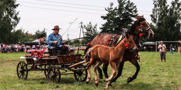 Gorzyce. W niedzielę Zlot Furmanek w Furmanach