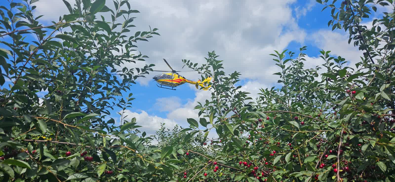 WhatsApp Image 2025-07-29 at 13.41.39(1).jpeg