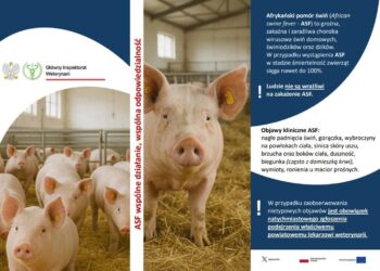 Mielec: Zagrożenia ASF nie ma ale musimy być czujni…