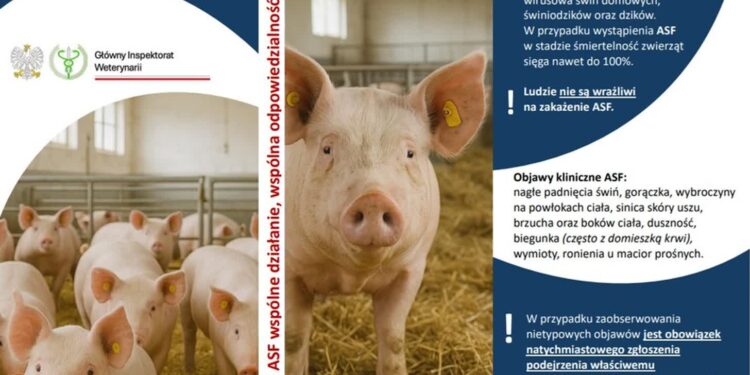 Mielec: Zagrożenia ASF nie ma ale musimy być czujni…