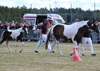 Radomyśl Wielki: Za nami  16. Parada Konna w Żarówce